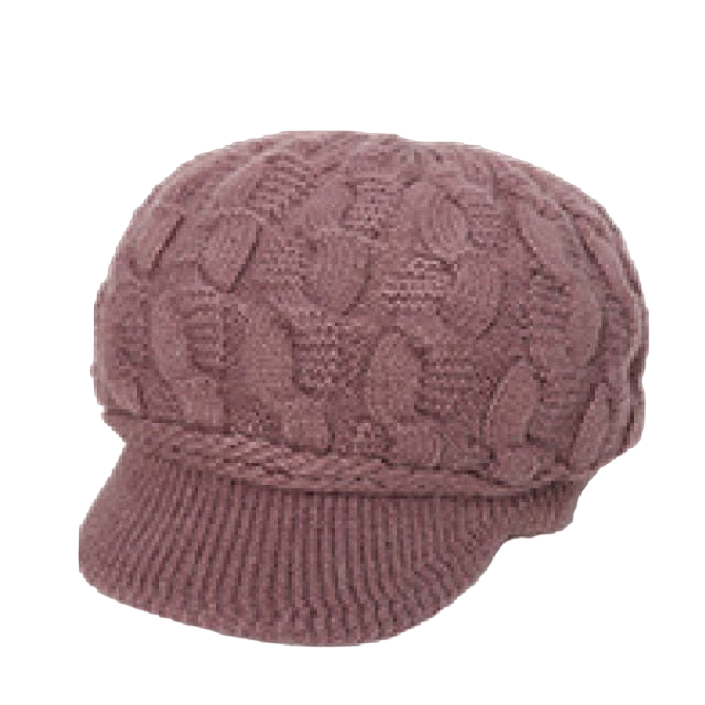 Gorra Drag Detroit (Púrpura claro)