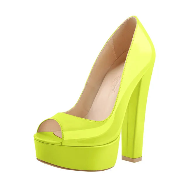 Zapatos Queen Quine (5 Colores)