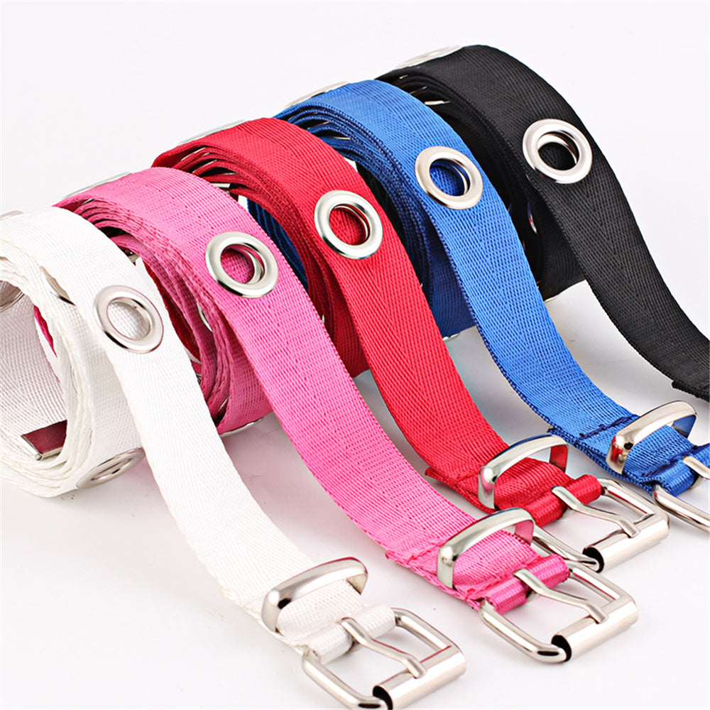 Cinturón Drag Blinder (5 Colores)
