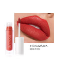 Lip Gloss Profesional Mate (14 Colores)